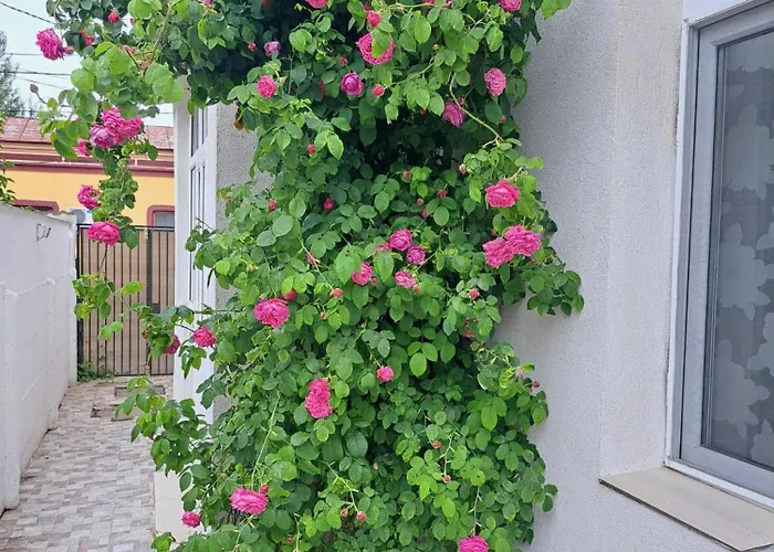 Pensiune Yraida's House Constanţa